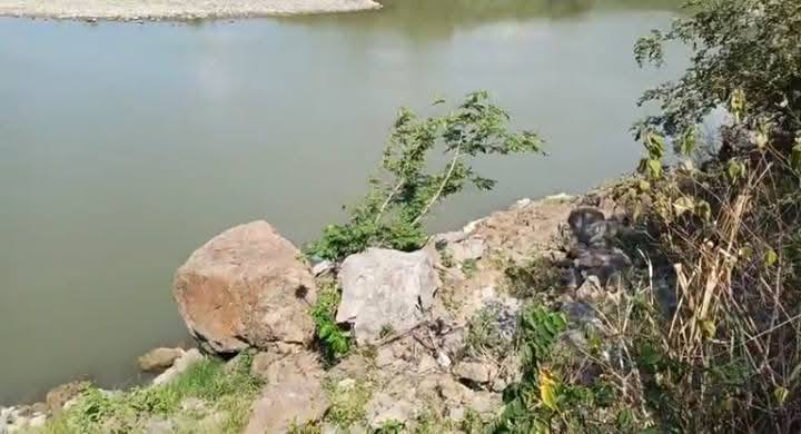 Imagen de cuerpo de nota