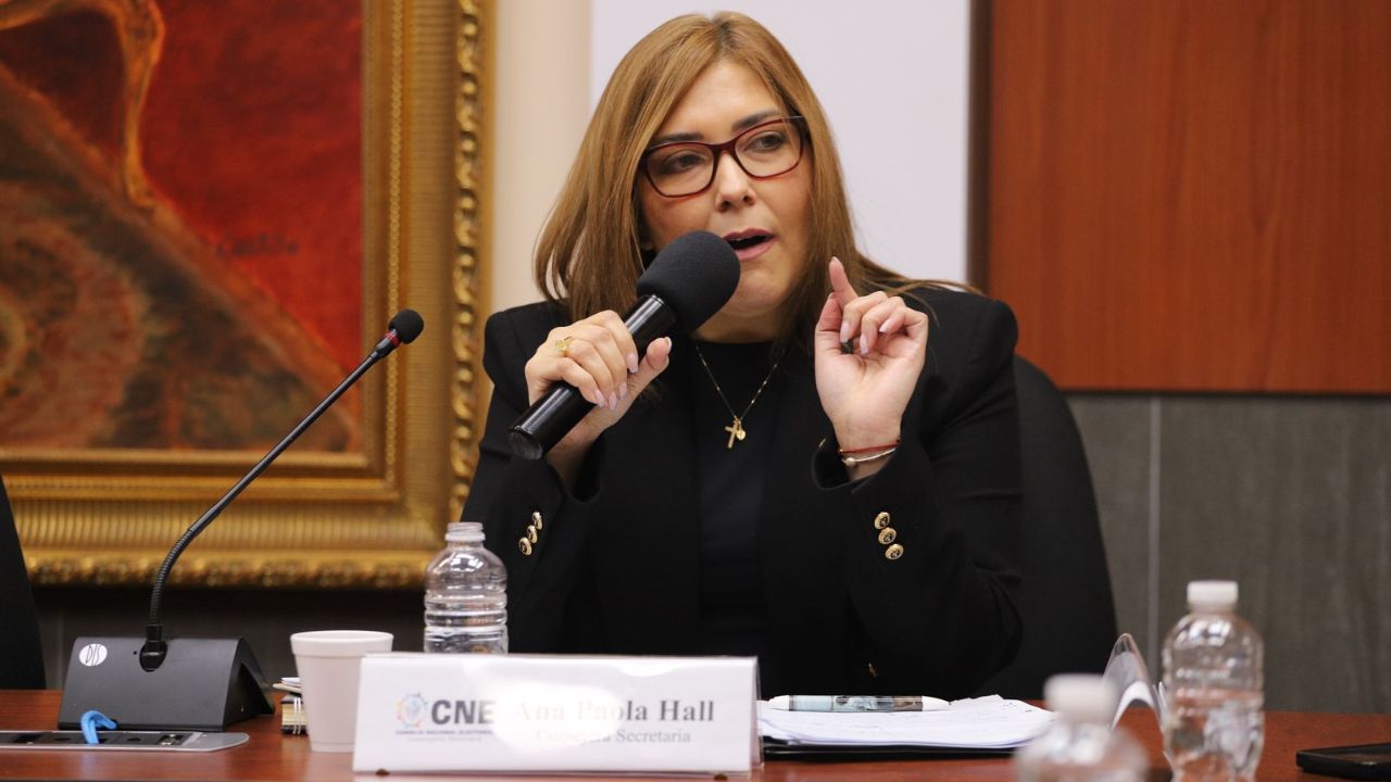 'Habrá elecciones generales en tiempo y forma': Ana Paola Hall ante el Congreso