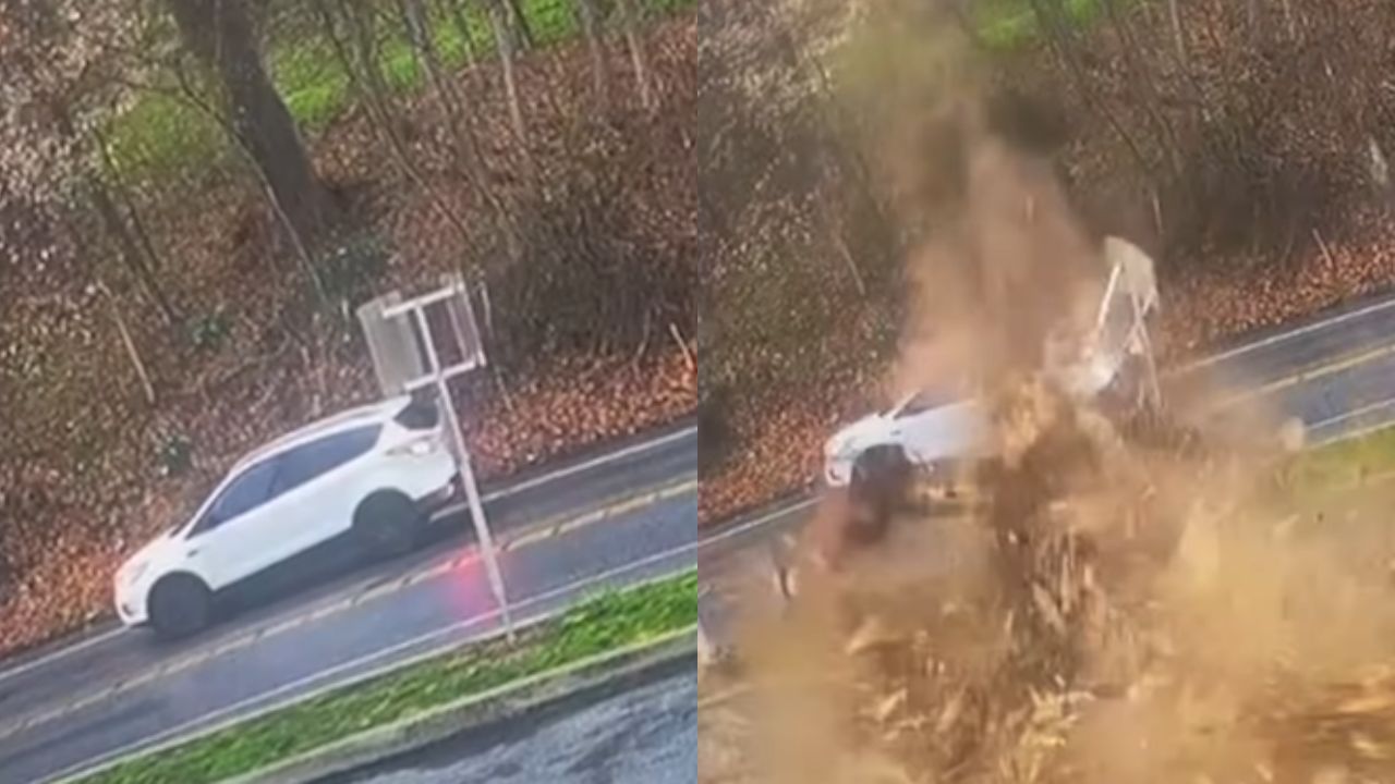 Vídeo: Conductora se salva de morir tras caer árbol sobre carro en el que iba