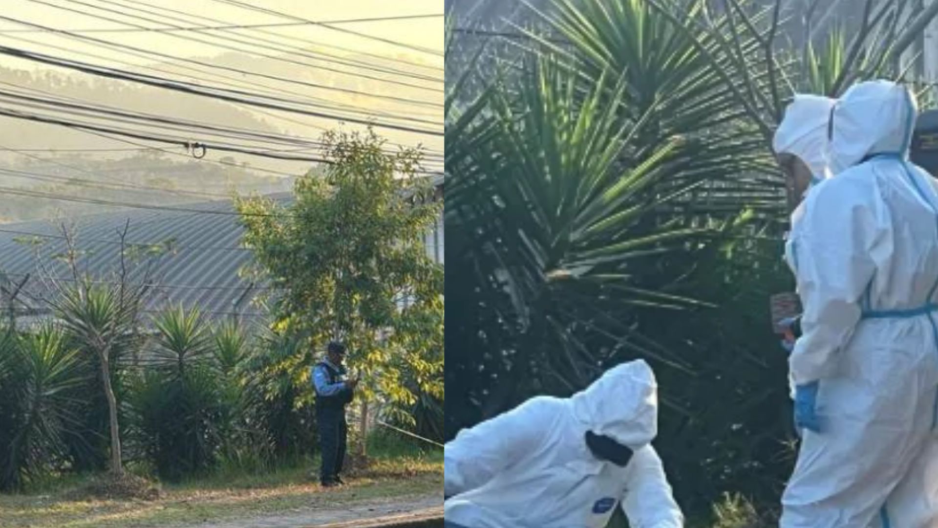 ¿Quiénes son las víctimas del doble homicidio en la colonia El Sitio en Tegucigalpa?