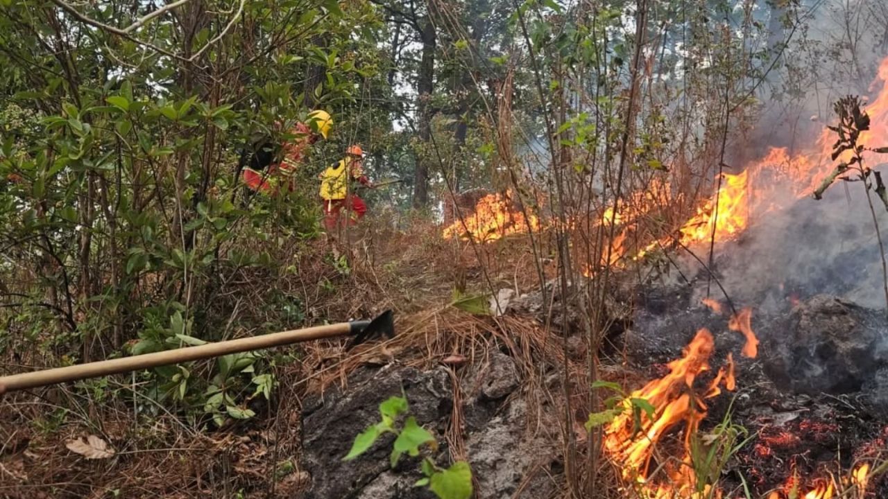 Editorial HRN: Impunidad forestal y tolerancia con los pirómanos