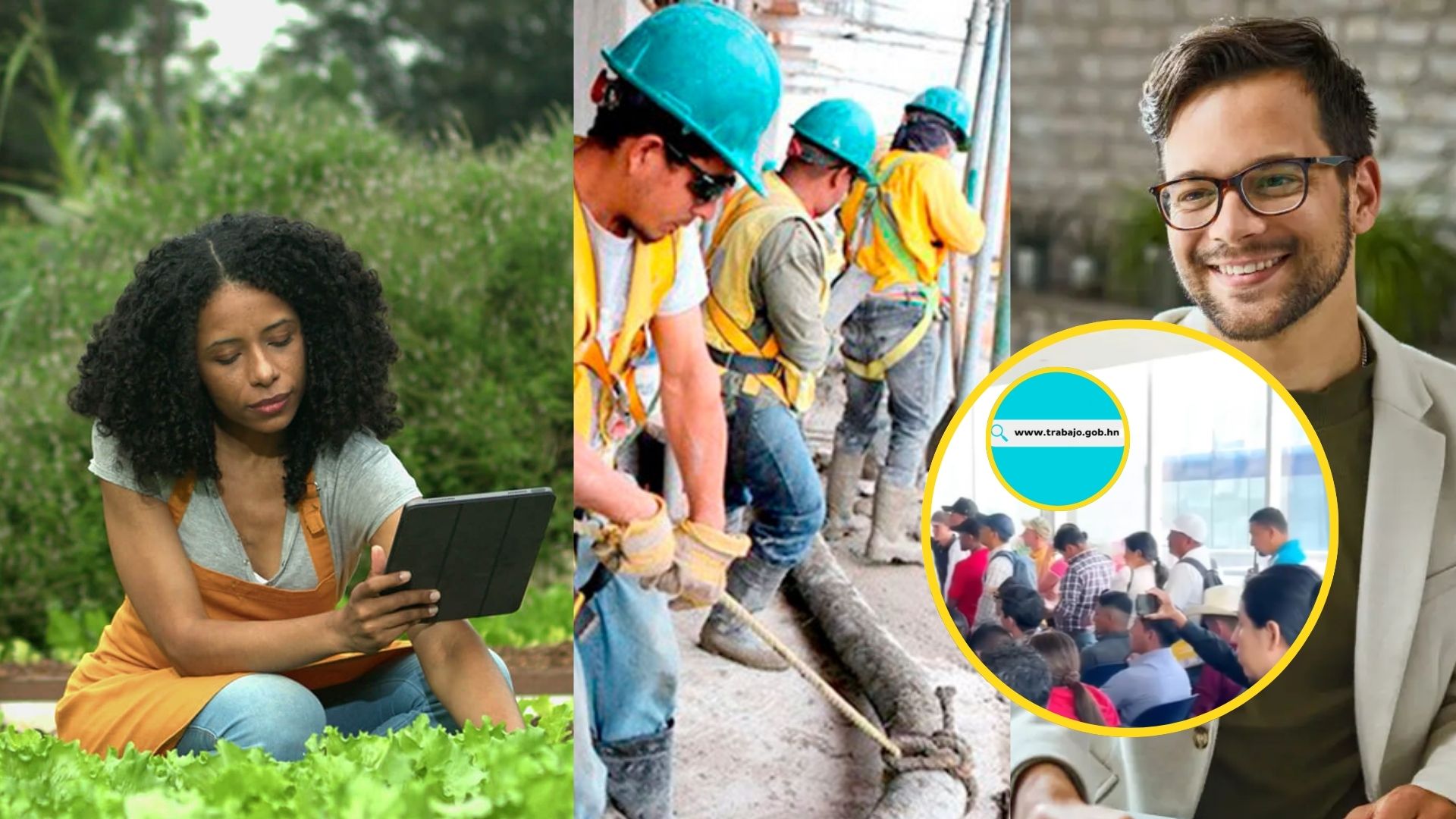¿Cómo aplicar a un empleo temporal en el extranjero?: Paso a paso