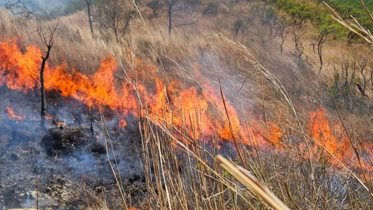 Honduras registra casi 21,000 hectáreas de bosque afectadas por incendios en 2025