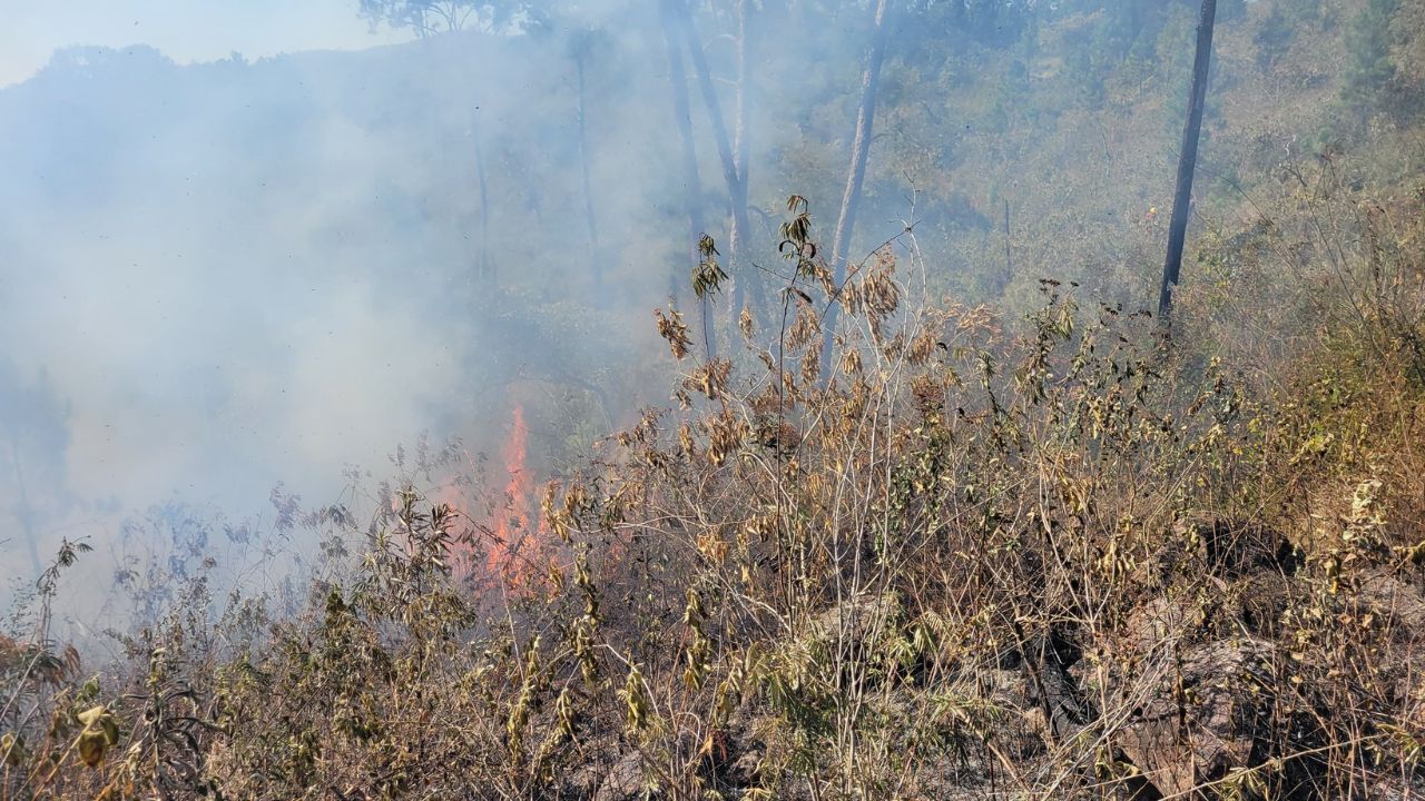ICF pide a Ministerio Público investigar incendios forestales y deducir responsabilidades