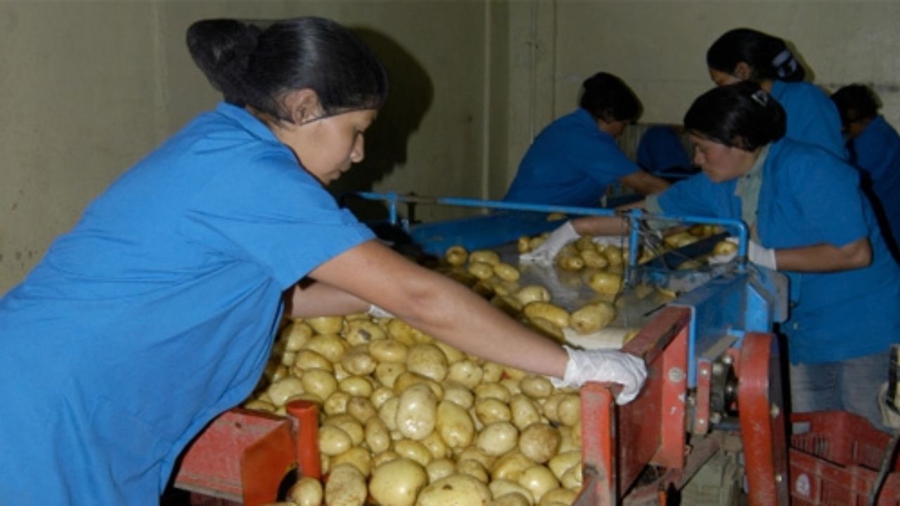 Informalidad sigue siendo el principal problema laboral, según boletín del Cohep