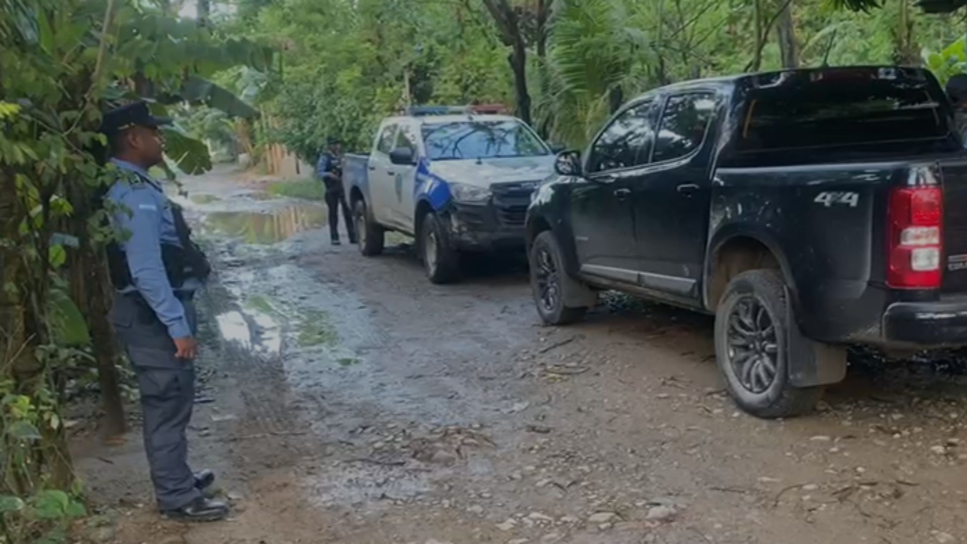 Imagen de Nueva masacre en La Ceiba: cuatro hermanos mueren tras ataque armado
