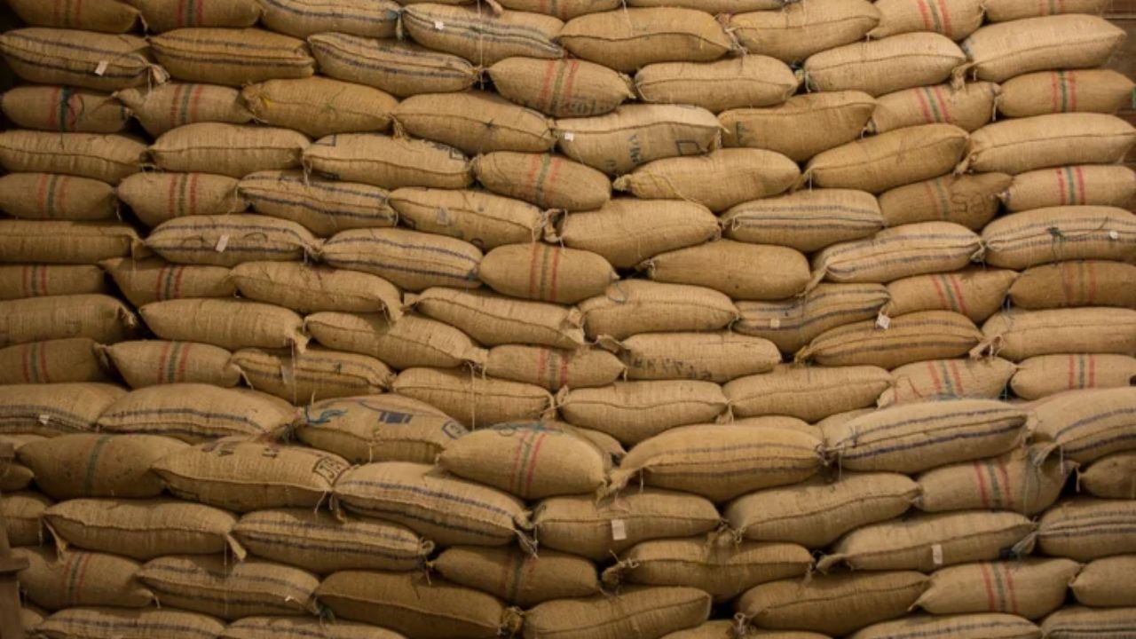 Precio de café en bolsa de Nueva York se desploma por aranceles: Adecafeh