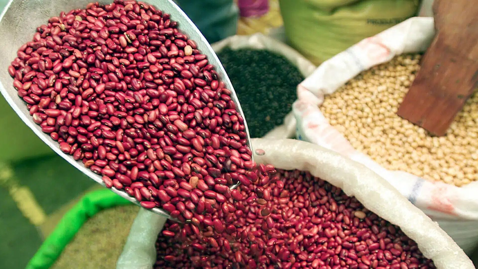 Hondureños pagarán menos por los frijoles: aseguran que hay buena reserva