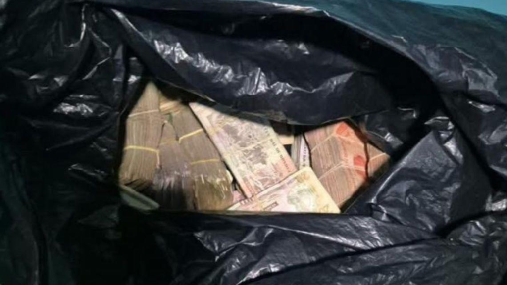 Imagen de cuerpo de nota