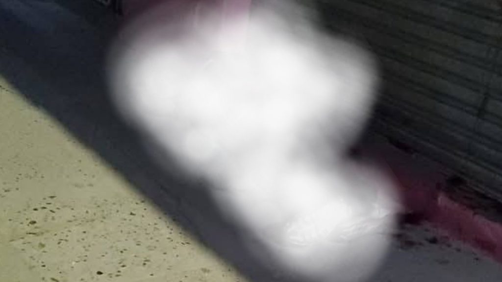 Imagen de cuerpo de nota