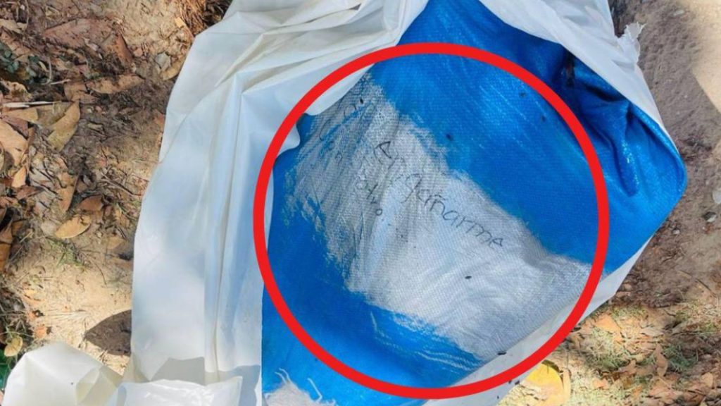 Imagen de cuerpo de nota