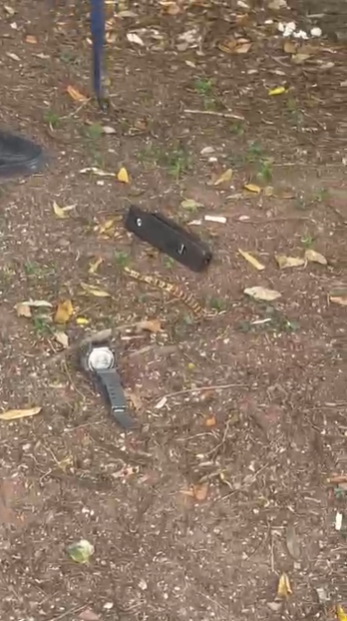 La grapadora en el lugar