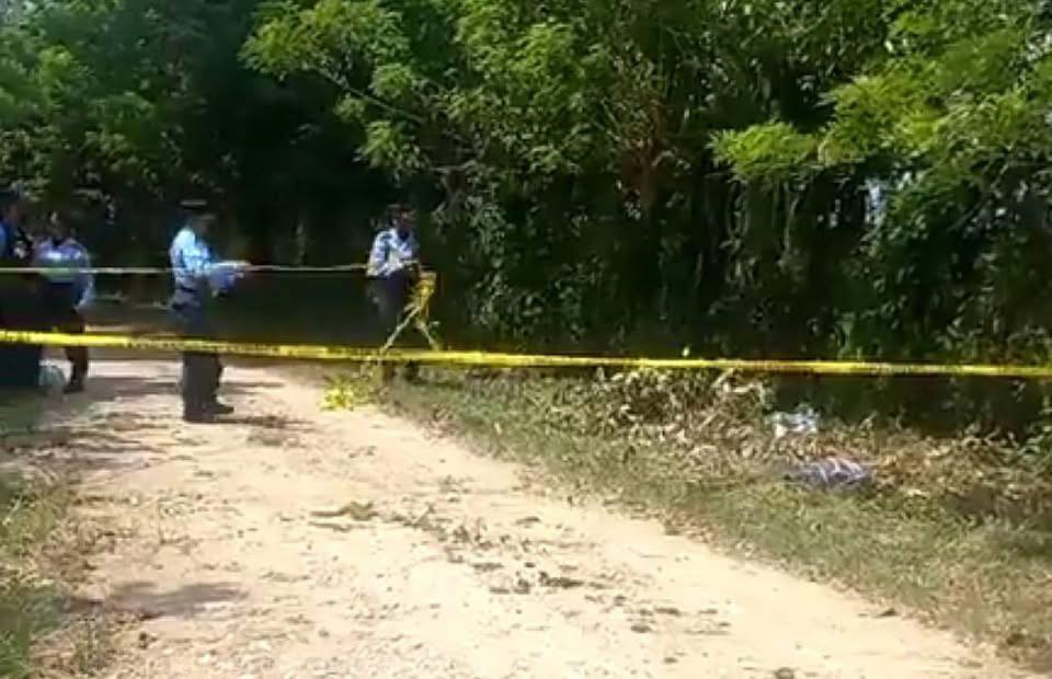 Imagen de cuerpo de nota