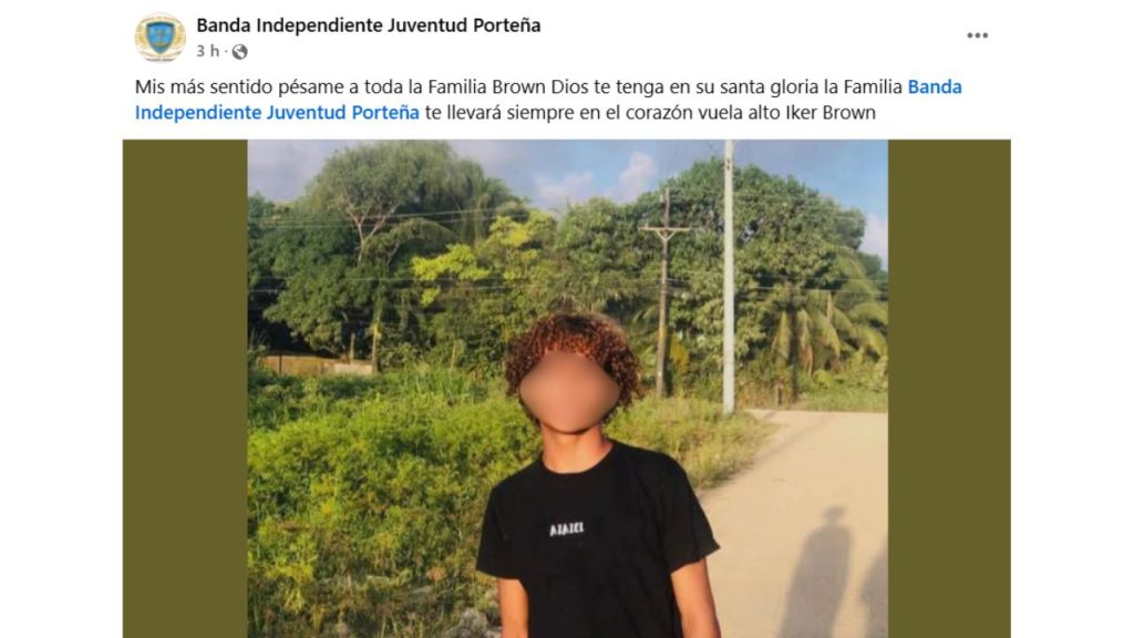 Captura de pantalla de la publicación