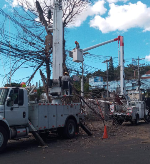 Imagen de cuerpo de nota