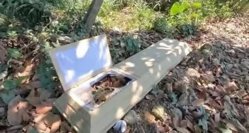 Imagen de cuerpo de nota