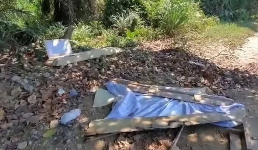 Imagen de cuerpo de nota