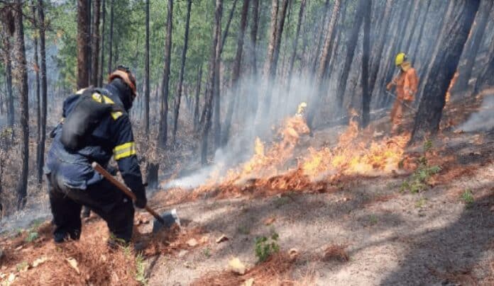 Un bombero en un incendio