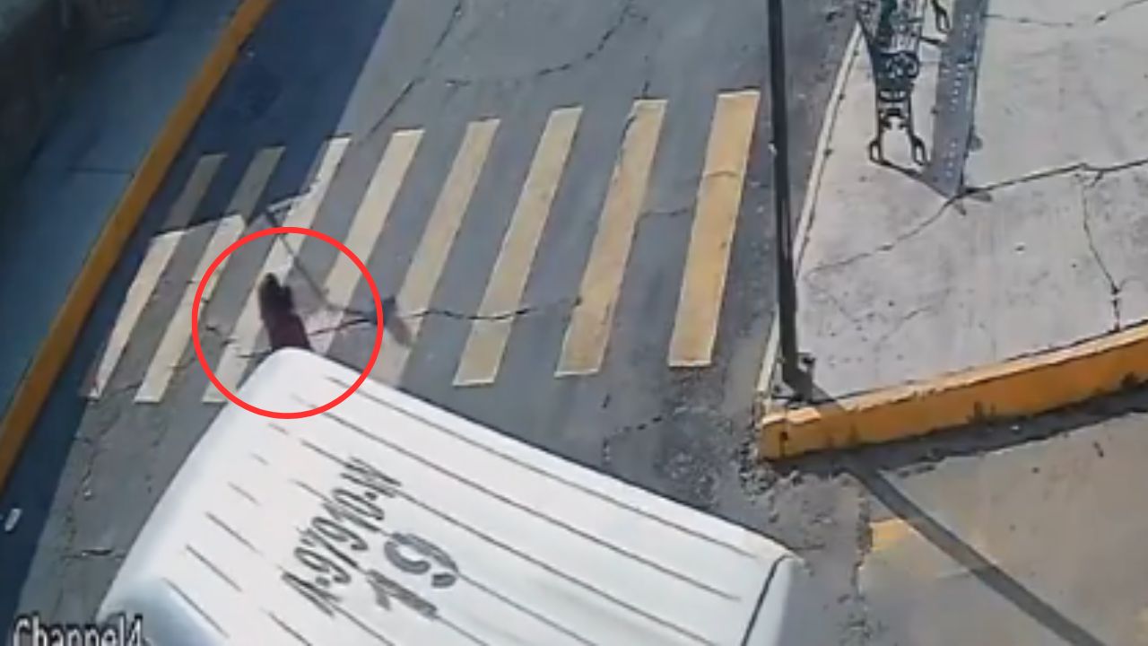 Vídeo: Bus atropella y mata a anciana cuando cruzaba la calle