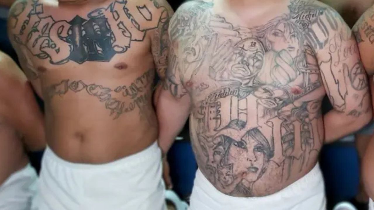 Imagen de ¿Por qué  trasladaron a integrantes de la MS-13 y de la 18 a El Pozo y La Tolva?