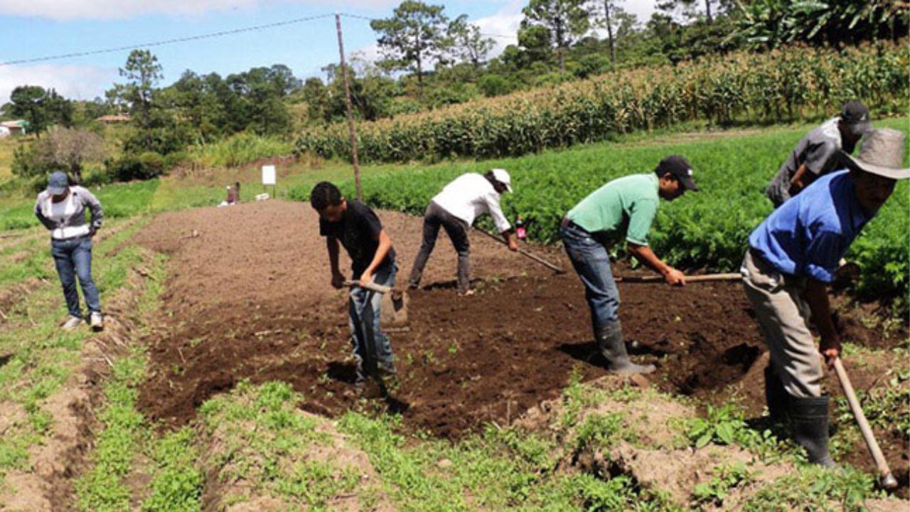Economía de Honduras proyecta crecer hasta un 4.0 % al cierre de 2025