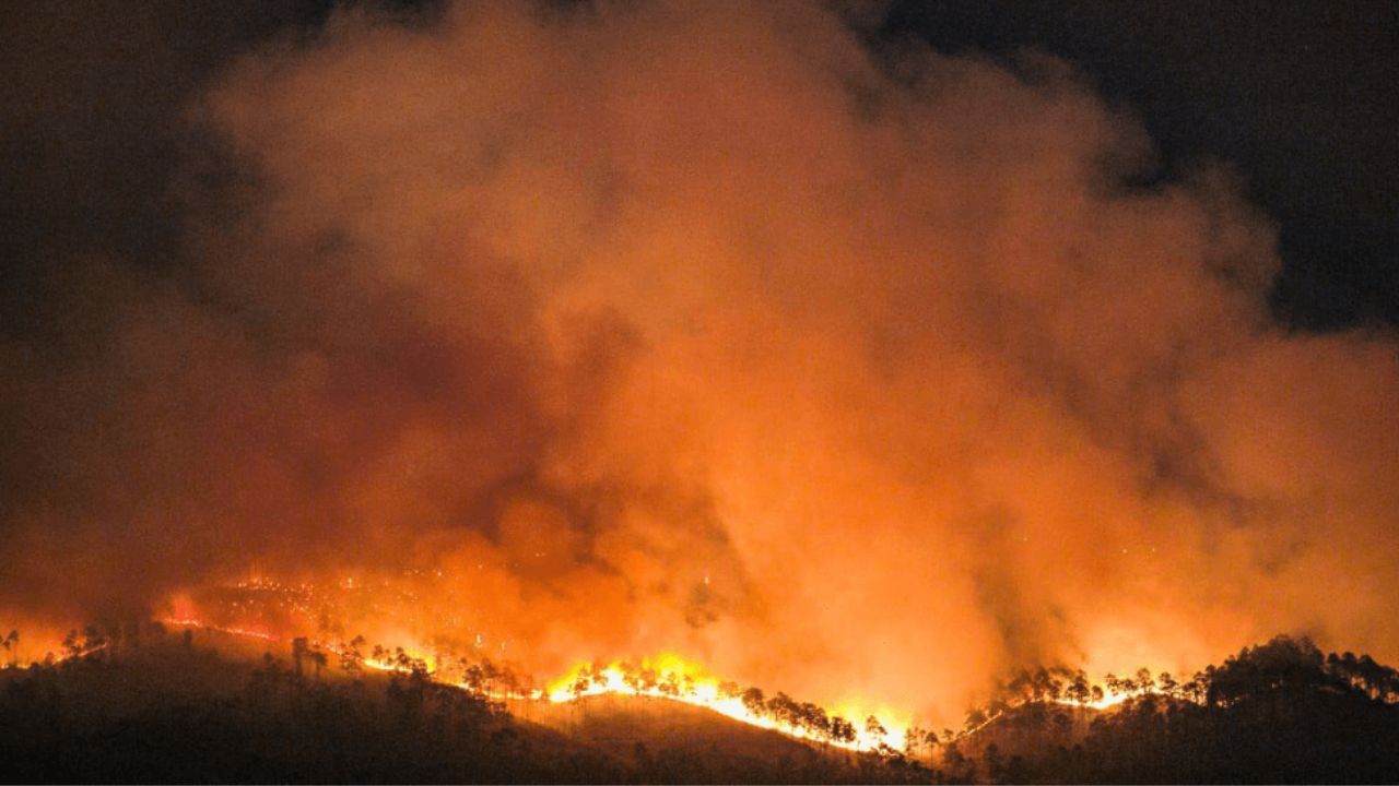 Imagen de Incendios forestales en Honduras han dañado más de 28 mil hectáreas en 2025
