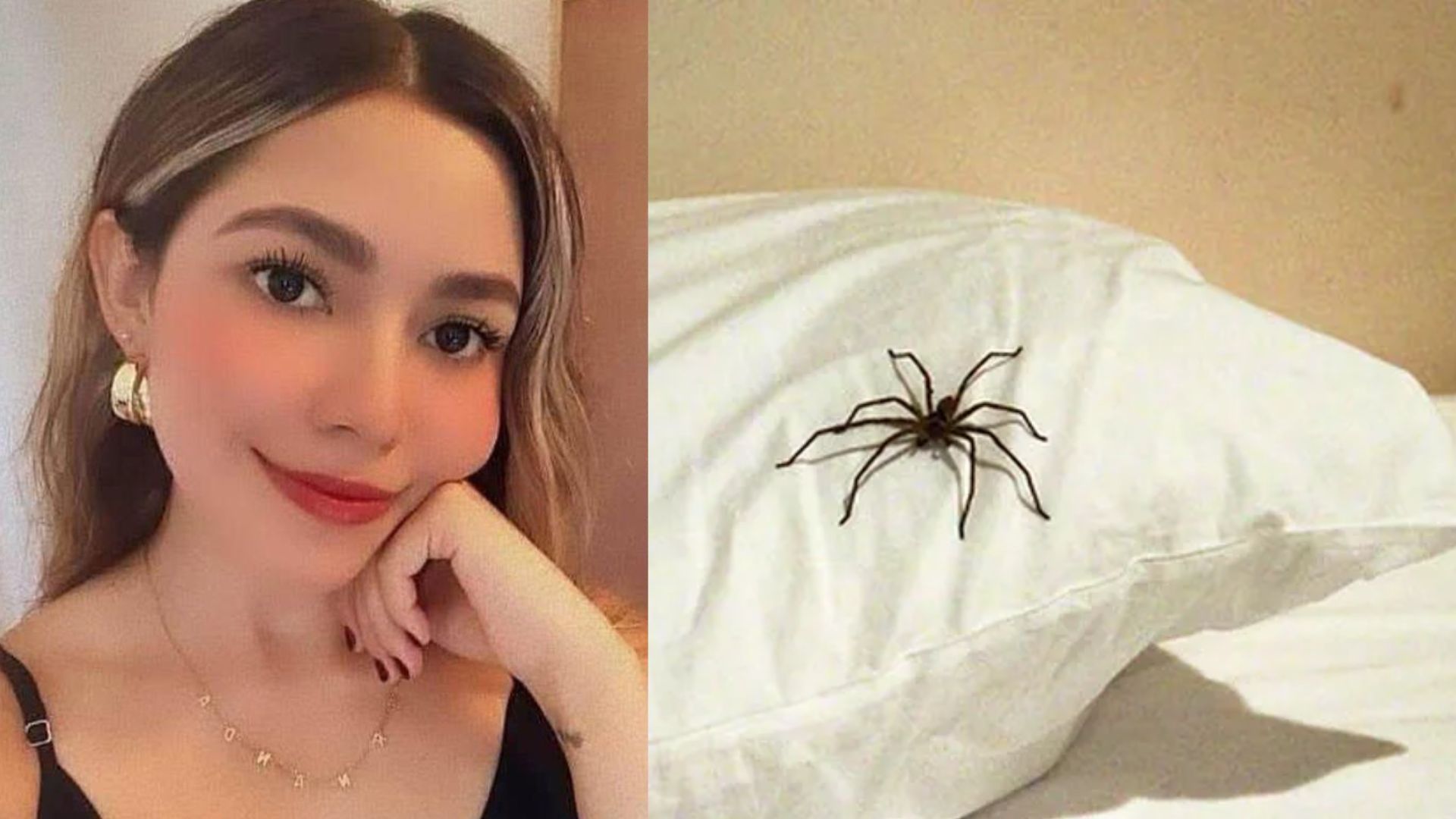 'Suplicó ayuda': joven muere tras ser picada por araña en el patio de su casa