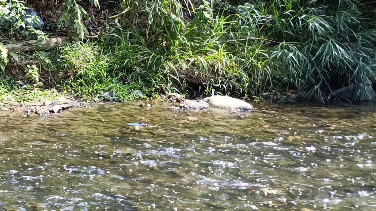 Hallan sin vida a ciudadano estadounidense en un río de Comayagua