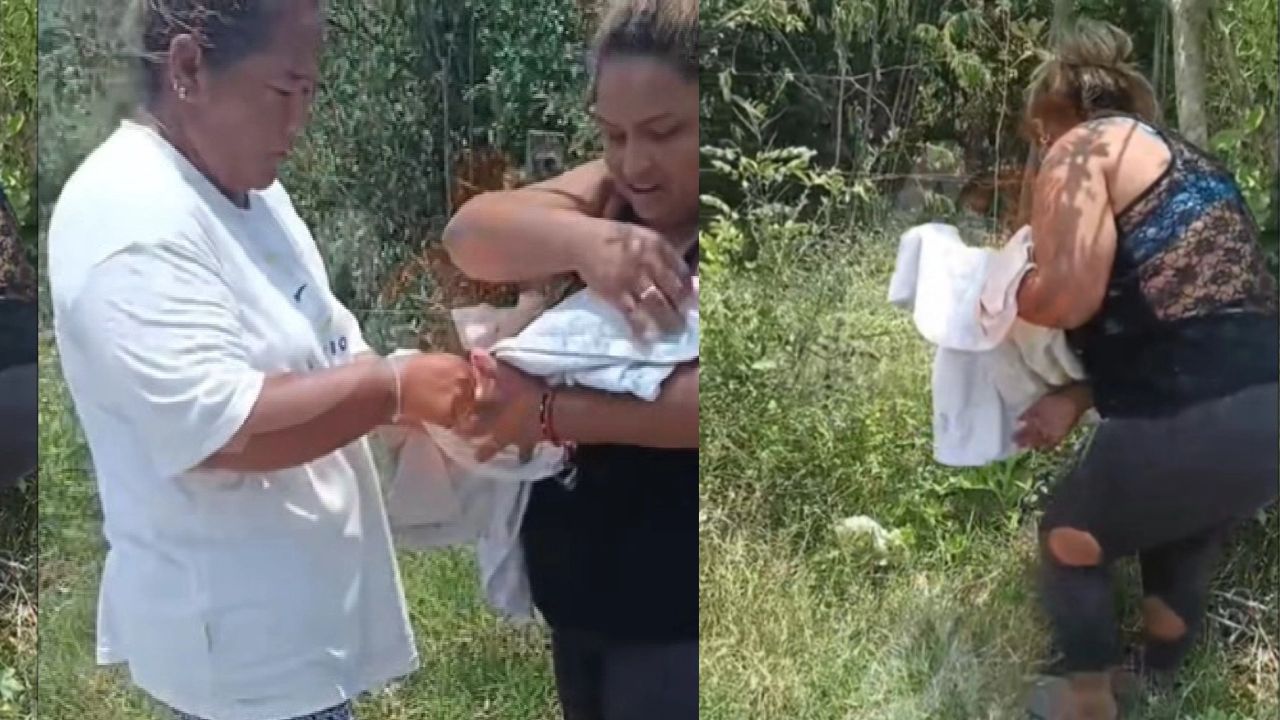 Video revela rescate de bebé abandonado entre hormigas en Choloma