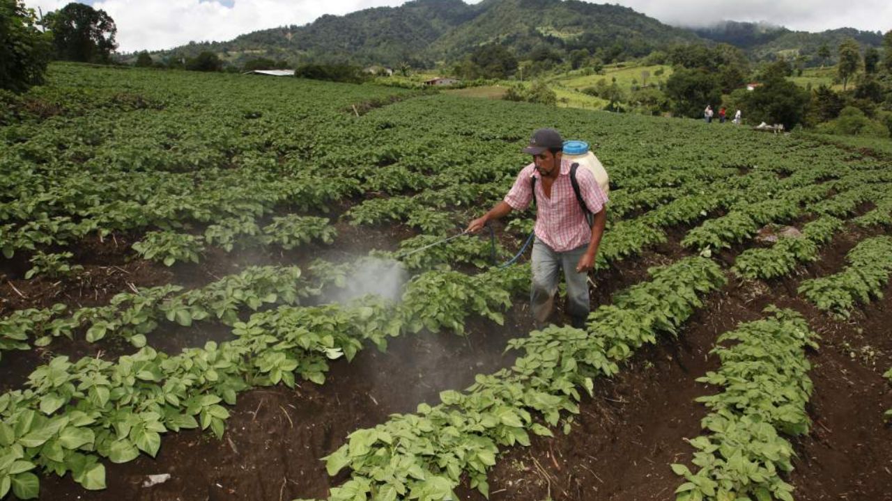 Con menos de L100 millones, Senasa busca atender al sector agroalimentario
