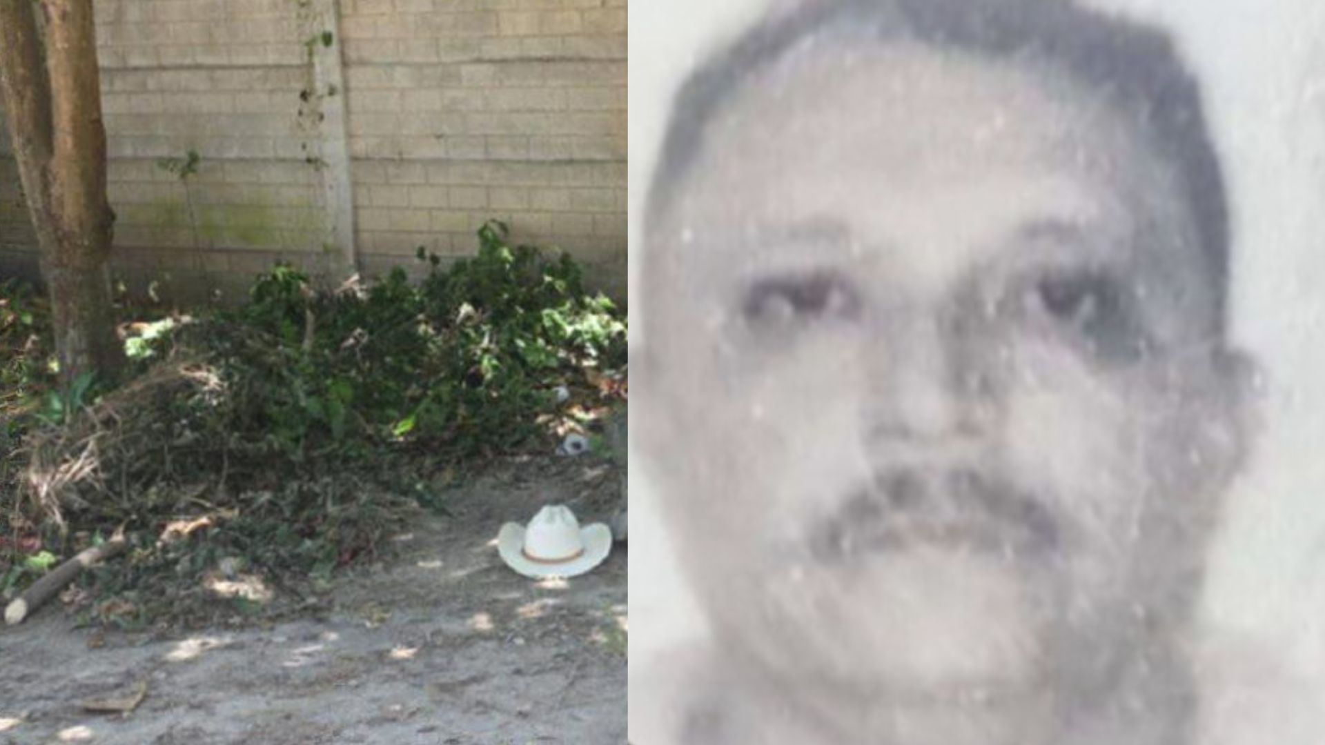 Imagen de '¡No me hagan daño!': se llevan por la fuerza y asesinan a vendedor de mariscos