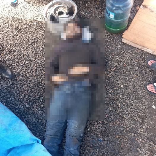 Imagen de cuerpo de nota