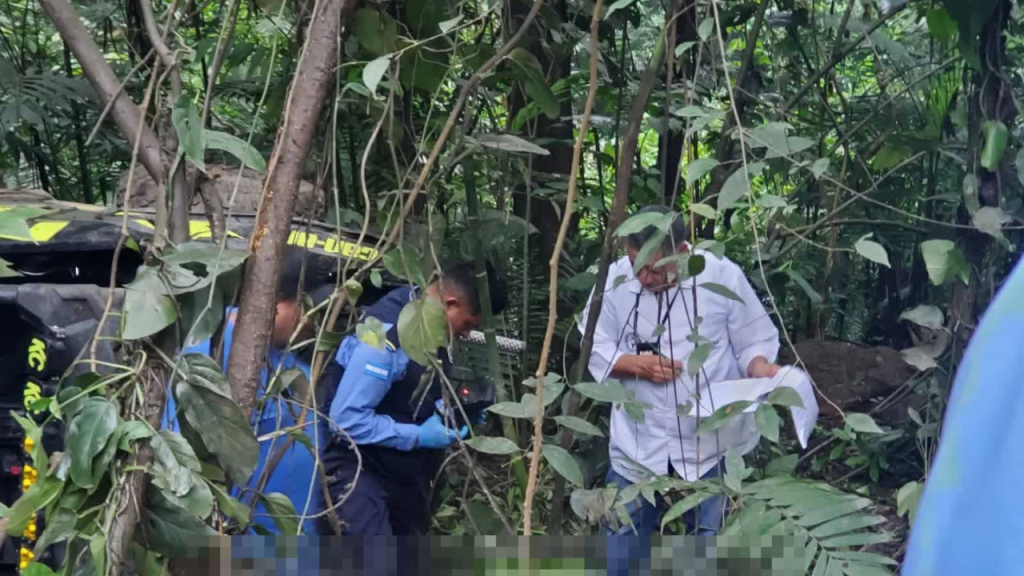 Imagen de cuerpo de nota