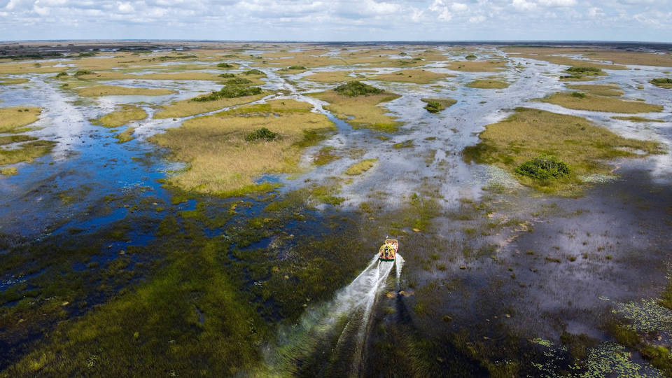 Humedal de los Everglades