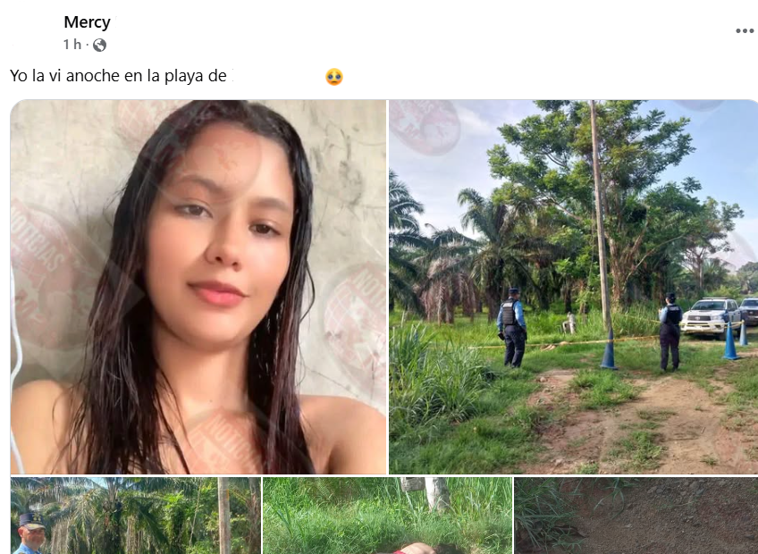 Captura de pantalla de la publicación