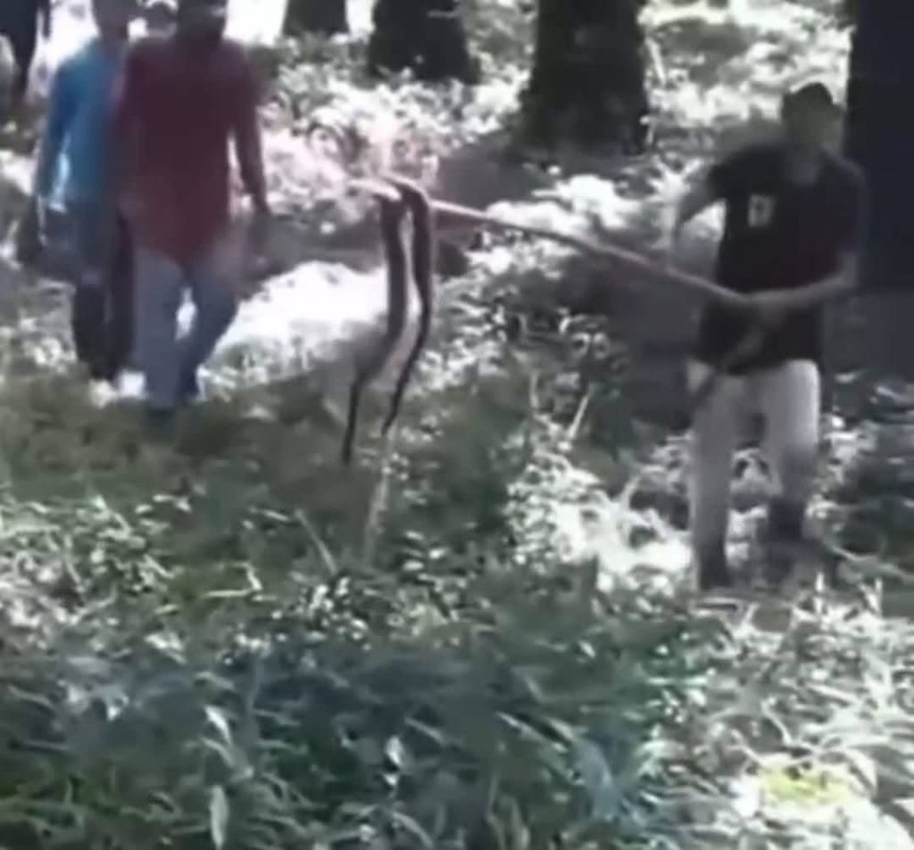 Imagen de cuerpo de nota