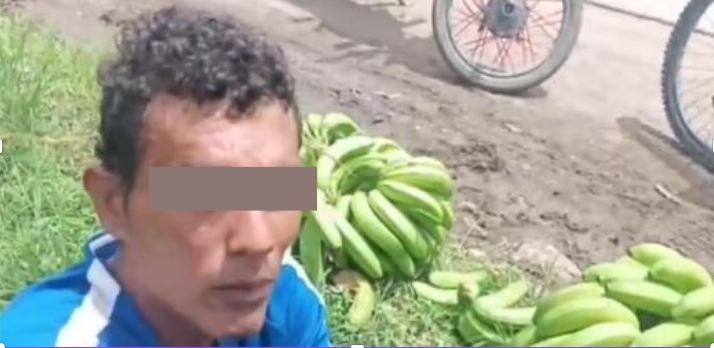 Imagen de cuerpo de nota