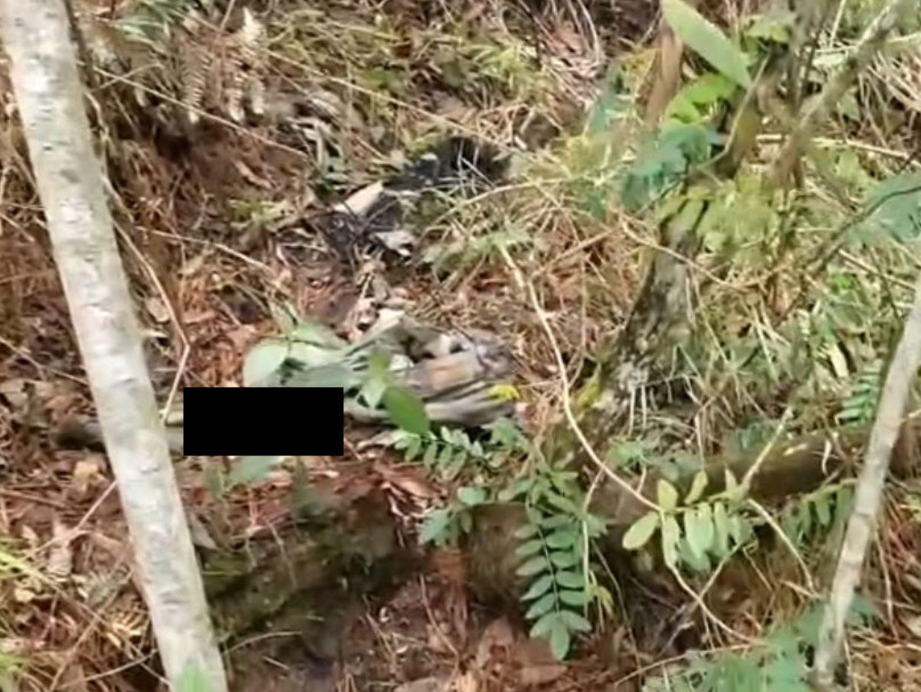 El lugar donde fue hallado el cuerpo de la joven