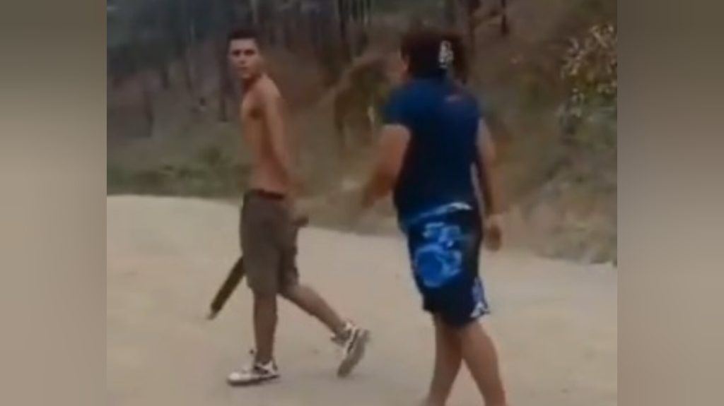 Imagen de cuerpo de nota