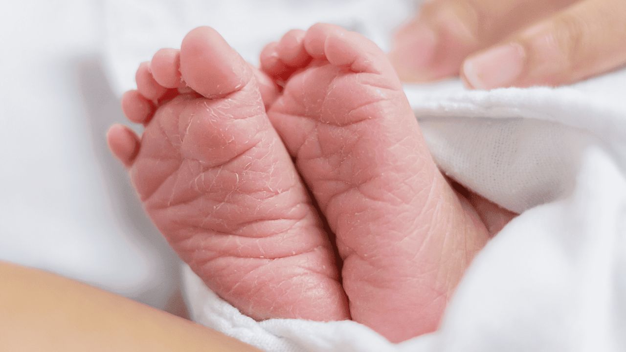 ‘Se infectó por el ombligo’: bebé de 19 días con gusano barrenador