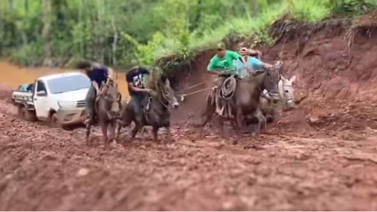 VIDEO: Así fue cómo cinco mulas rescataron vehículo atascado en el lodo en Olancho