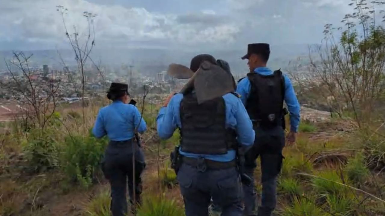 Encuentran caletas con poderosas armas en colonia Estados Unidos