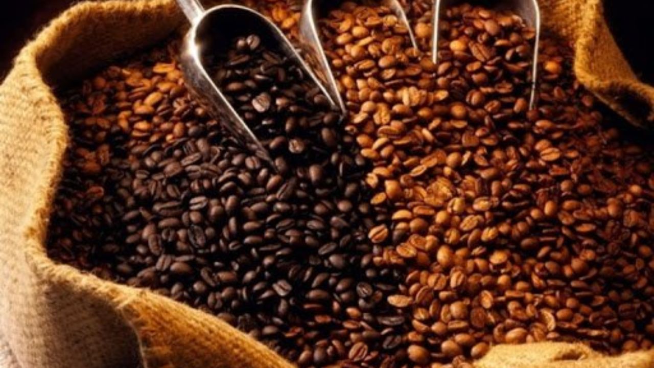 Honduras aumenta 87 % ingresos por exportación de café en 2025