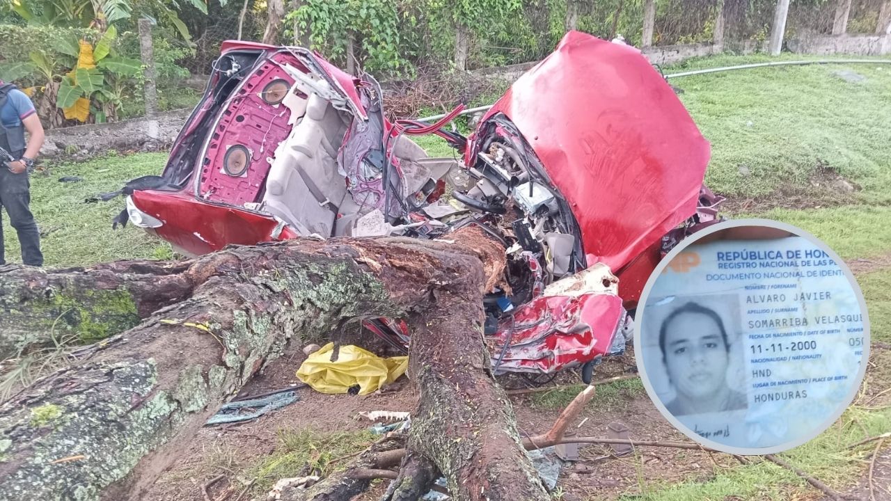Muere al estrellarse contra un árbol en Yojoa: su carro se partió en dos