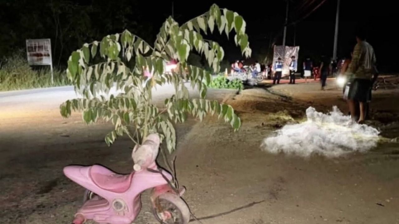 Así perdieron la vida una madre y su hija que vendían elotes en Santa Bárbara