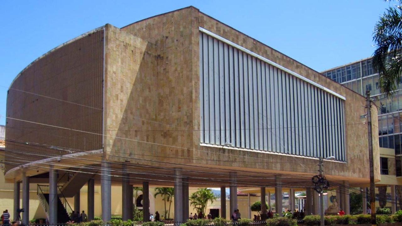 Diputados y ONG's 'de maletín' han malversado más de L16 mil millones: Castañeda