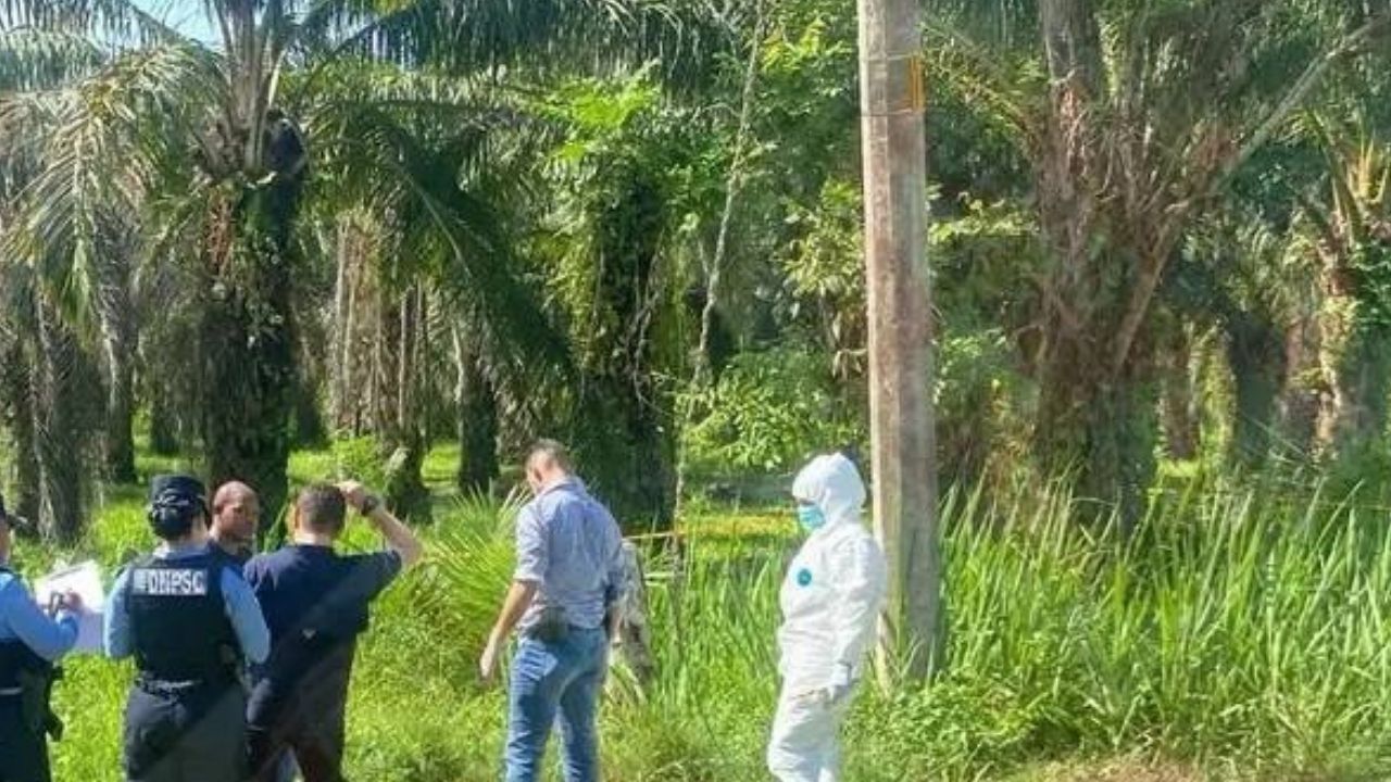 Imagen de Sensible imagen: Solo con ropa interior hallan a mujer muerta en Cortés