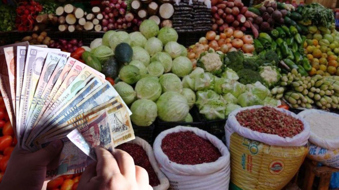 Imagen de ¿El salario mínimo en Honduras va de acuerdo con el gasto de la canasta básica?