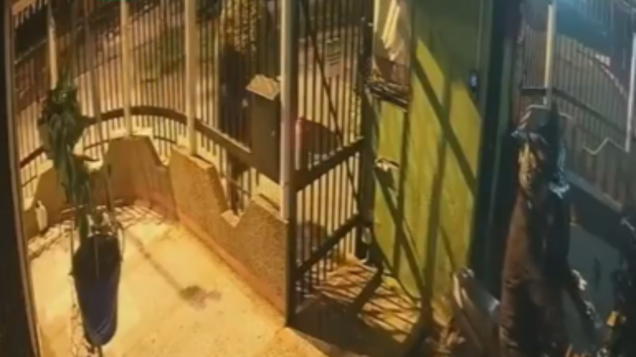 VIDEO: joven sobrevive a cuatro disparos de sicario que lo perseguía