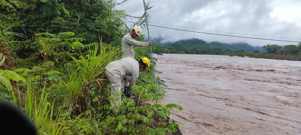 Imagen de cuerpo de nota